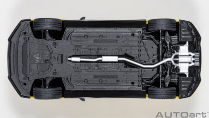 Honda CIVIC Type R (FK 8) 1:18