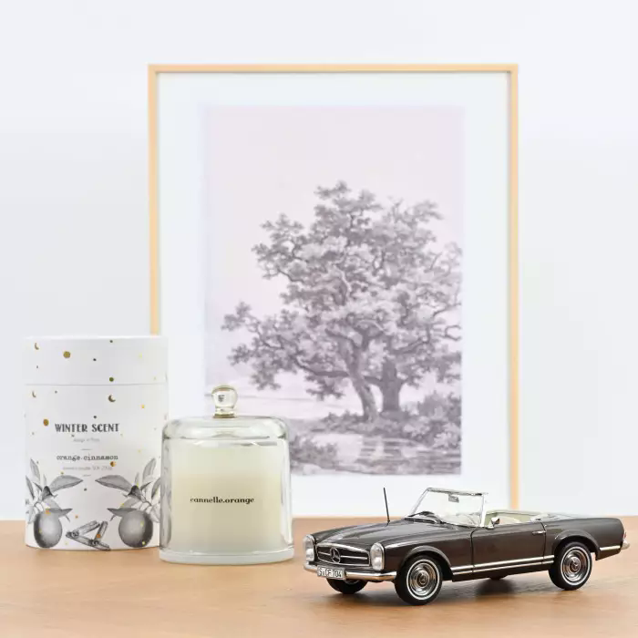 Mercedes 230 SL 1963 1:18