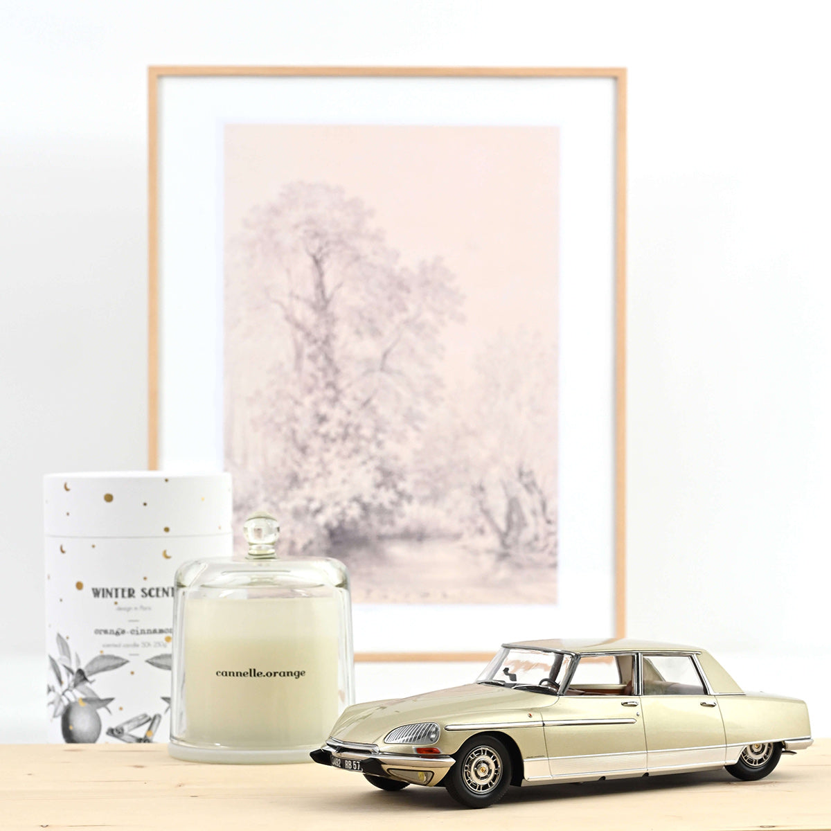 Citroën DS 21 Lorraine 1969 1:18