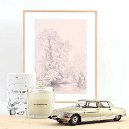 Citroën DS 21 Lorraine 1969 1:18