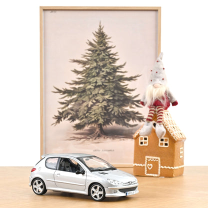 Peugeot 206 RC 2003 1:18