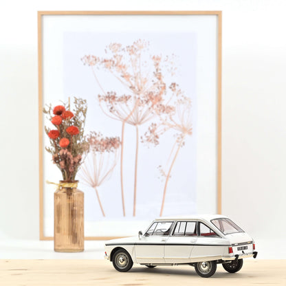 Citroën Ami Super 1974 1:18