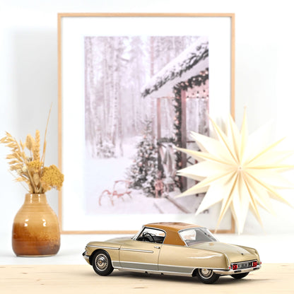 Citroën DS 19 Le Dandy 1964 1:18
