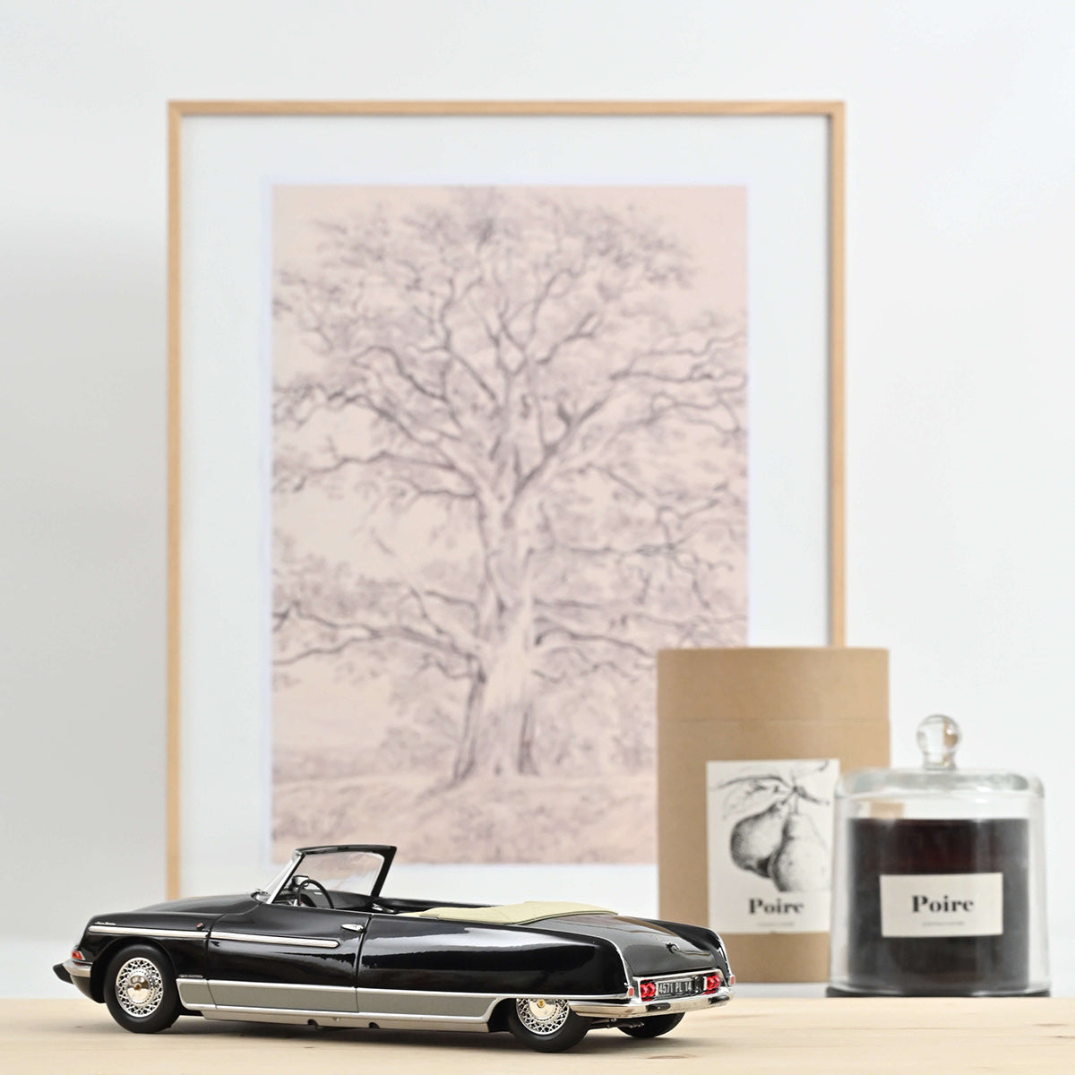 Citroën DS 21 Palm Beach 1968 1:18
