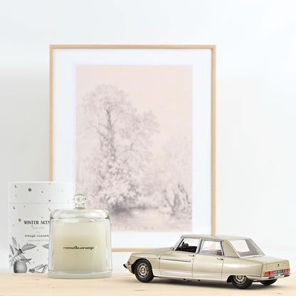 Citroën DS 21 Lorraine 1969 1:18