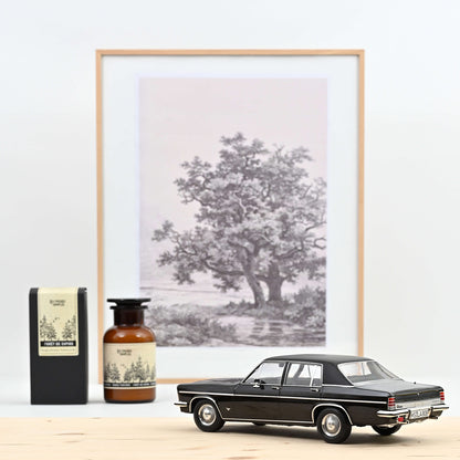 Opel Diplomat V8 1969 1:18