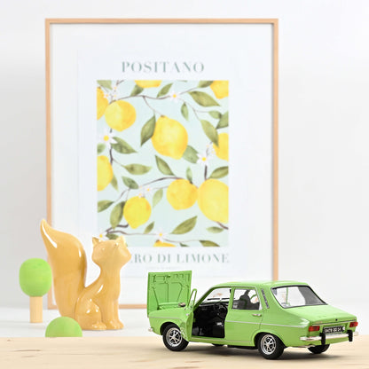 Renault 12 TS 1973/74 1:18