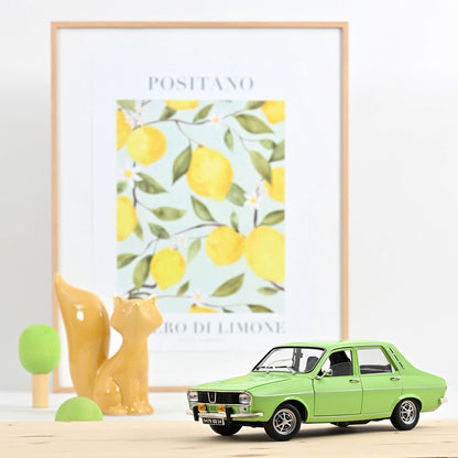 Renault 12 TS 1973/74 1:18