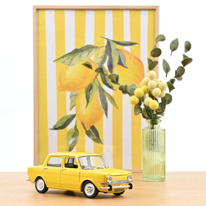 Simca 1000 LS 1974 1:18