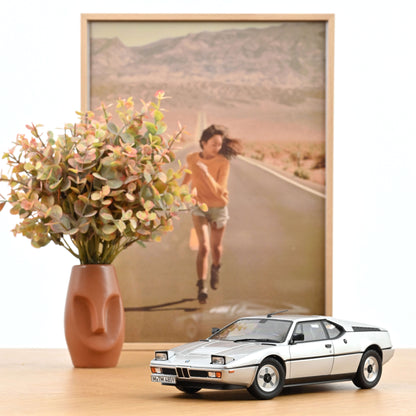 BMW M1 1980 1:18